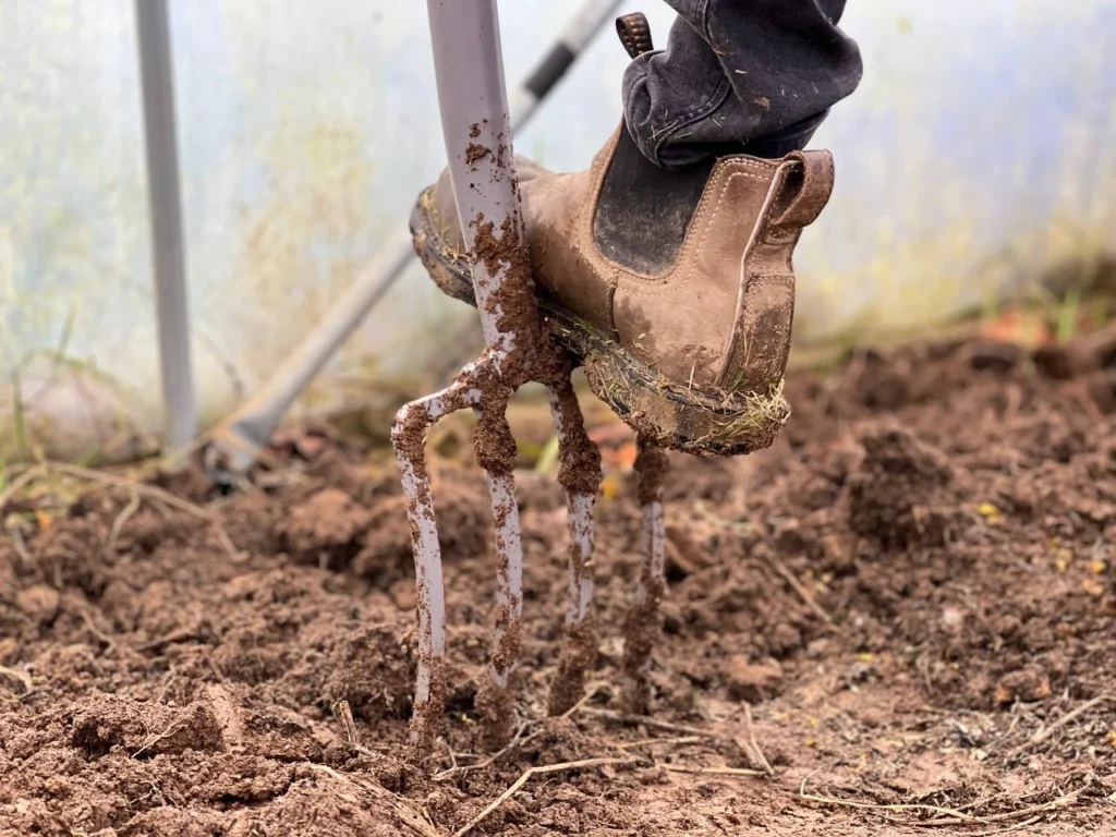 The proper way when diffing plants