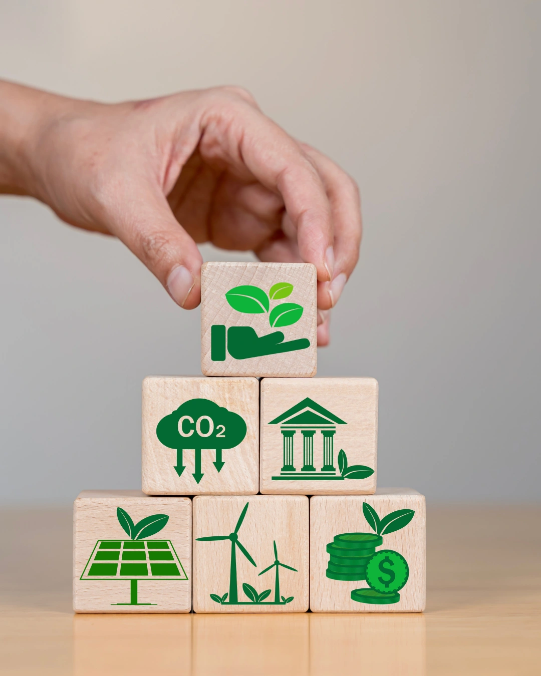 The Carbon Markets