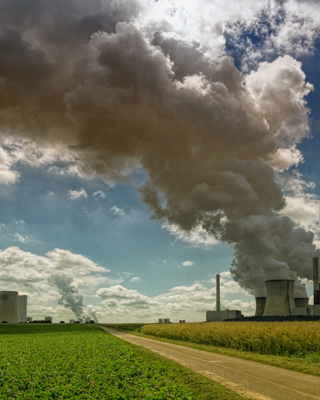 carbon financing a power plant