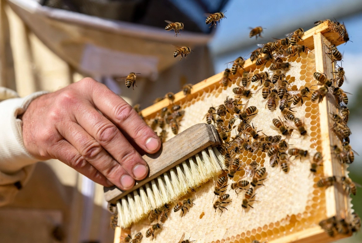 a man cleaning a bee hive