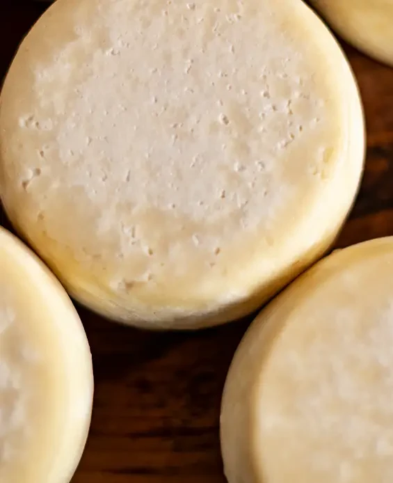 Round cheese wheels viewed from above