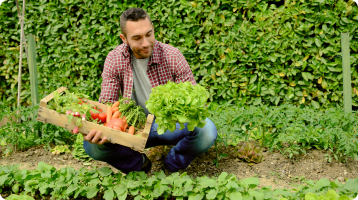 Home grower holding a box of freshly harvested vegetables