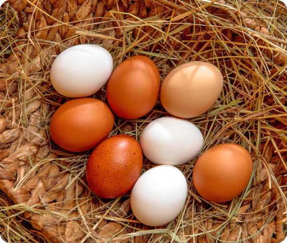 Brown and white eggs arranged in a straw nest