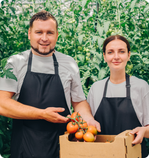 Two growers presenting a box of fresh vegetables