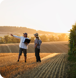Two people discussing a field at sunset