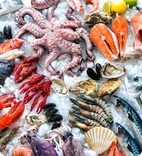 Fresh fish and seafood displayed on ice
