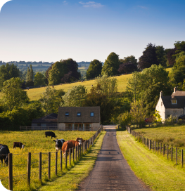 Country lane leading past green fields and farm buildings
