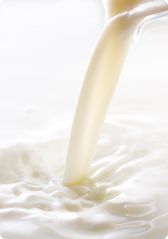 Close-up of milk pouring and splashing