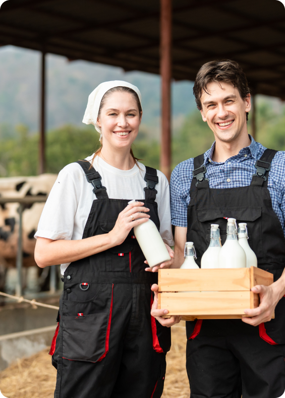 Two farm workers holding a crate of milk bottles