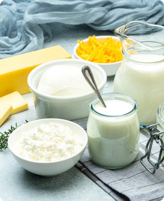 Assorted dairy foods including milk, yoghurt and butter