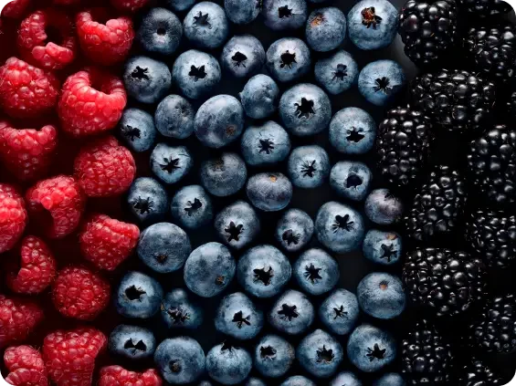 Rows of raspberries, blueberries and blackberries