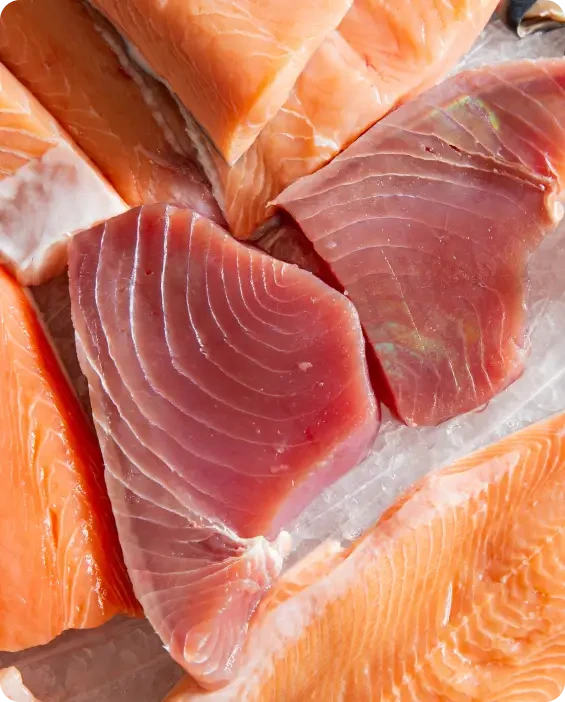 Raw salmon and other fish portions arranged together