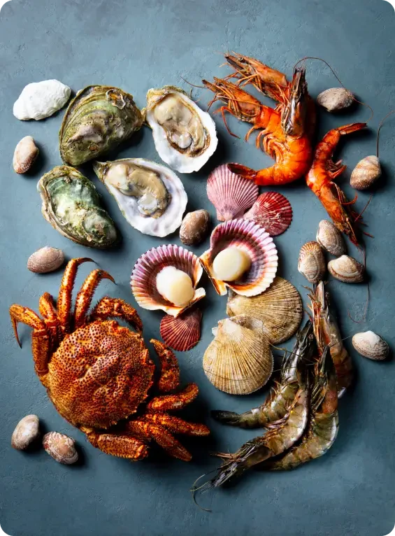 Crab, shellfish and other seafood arranged on a blue surface