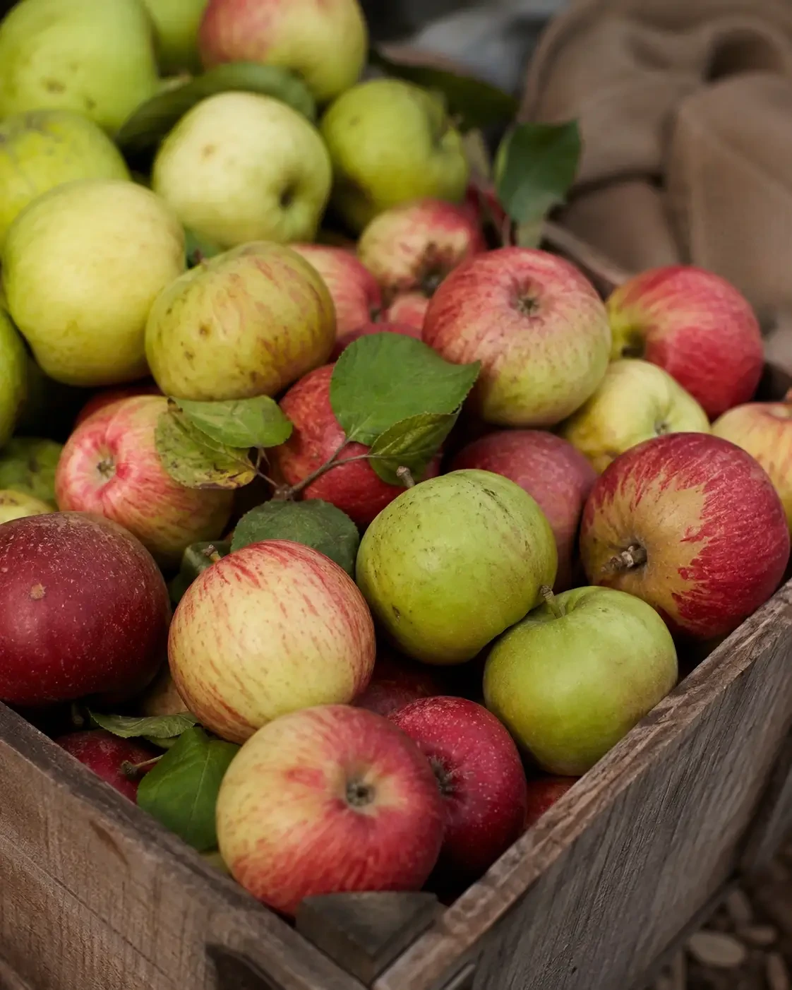 Red and green apples piled in a wooden crate