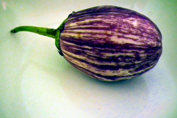 Harvested striped aubergine on a plate