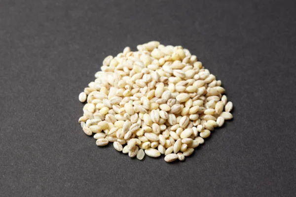 A pile of pale barley grains on a dark surface
