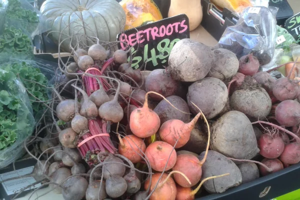 A selection of harvested beetroots