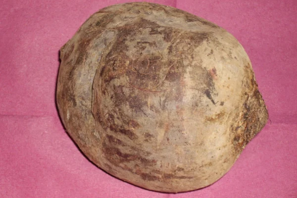 Illustrative red beetroot photograph; cultivar not identified, not verified as Boltardy