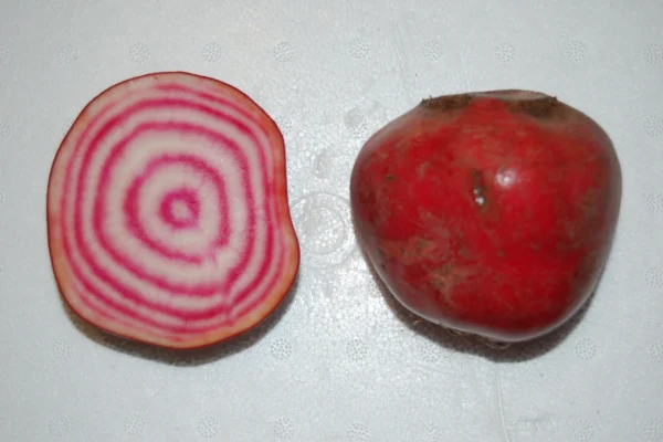 Cut Chioggia beetroot showing pink and white rings