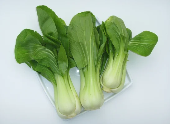 Three fresh baby pak choi rosettes with pale green stalks on a light background