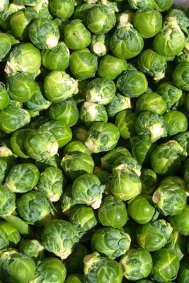 A pile of harvested green Brussels sprouts