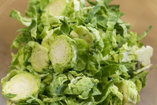 Brussels sprouts photographed by Alabama Extension