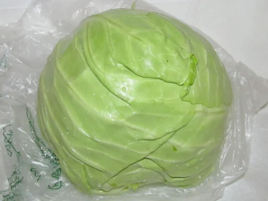 A harvested round green cabbage head
