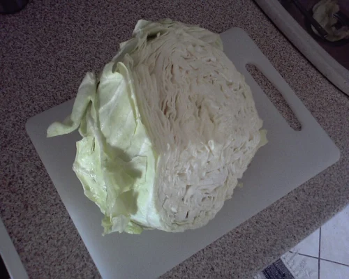Cut green cabbage showing the closely packed inner leaves