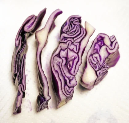 Cut slices showing the purple and white interior of red cabbage
