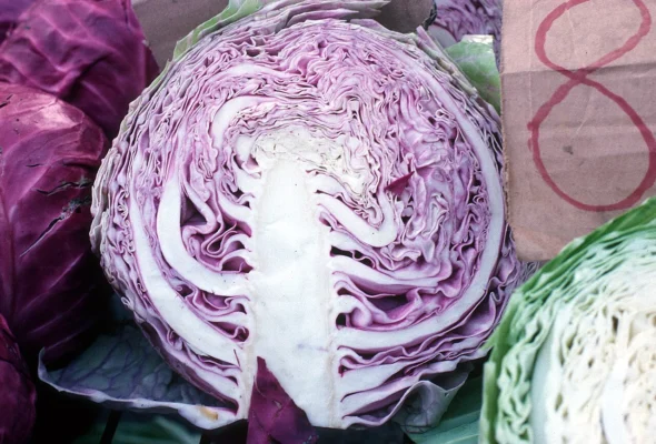 Halved red cabbage displayed with other cabbages at a market
