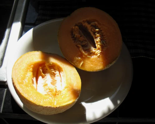 Two cantaloupe halves with orange flesh and seeds on a plate