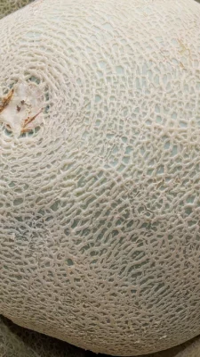 Close-up of the pale netted rind of a cantaloupe