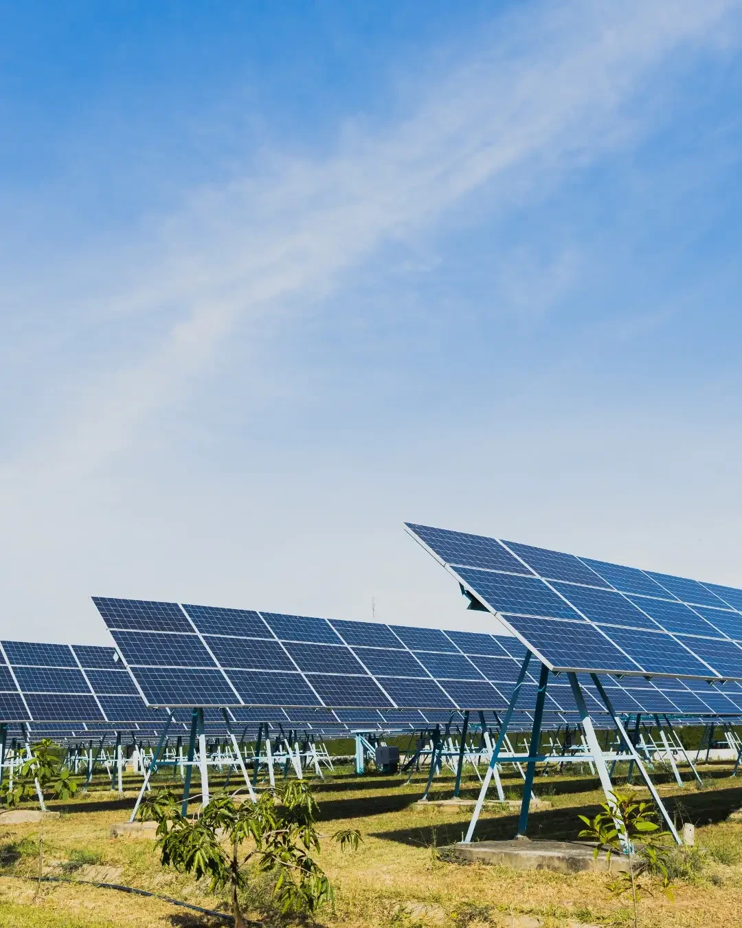 Rows of solar panels beneath a blue sky