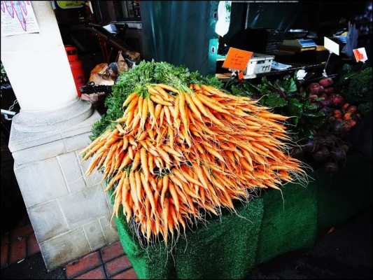 Orange carrots with green leafy tops