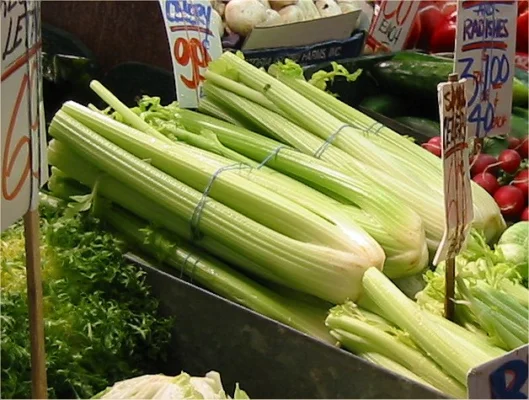 Cut bunches of green stalk celery displayed at a market