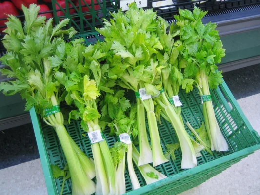 Bunches of celery with leaves in market crates