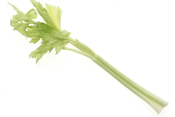 Single ribbed celery stalk with green leaves on a white background