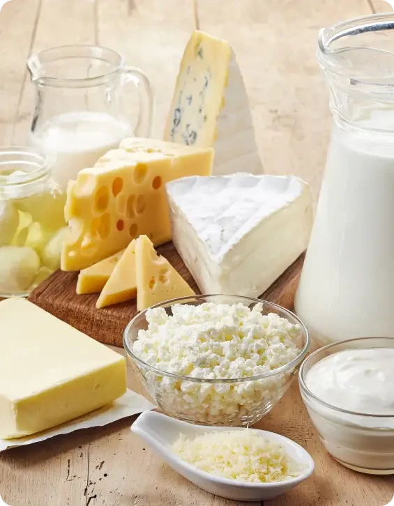 Milk, cheeses and other dairy foods arranged on a table