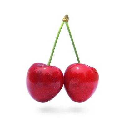 Two red Stella cherries joined by their stalks on a white background