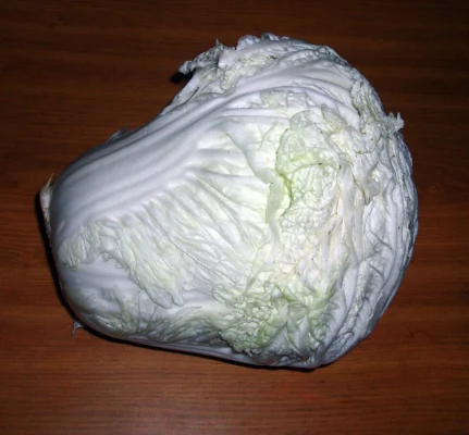 Harvested pale Chinese cabbage head