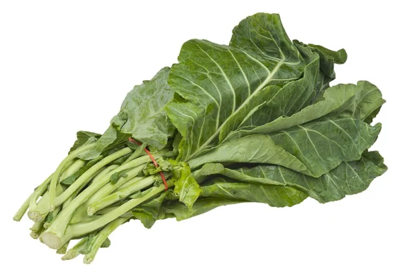 Harvested bundle of collard greens