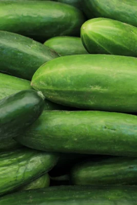 Harvested cucumbers at a produce market