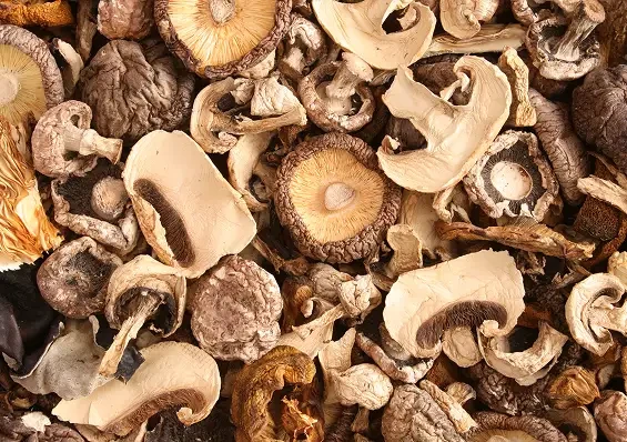 A mixture of dried mushroom slices and caps