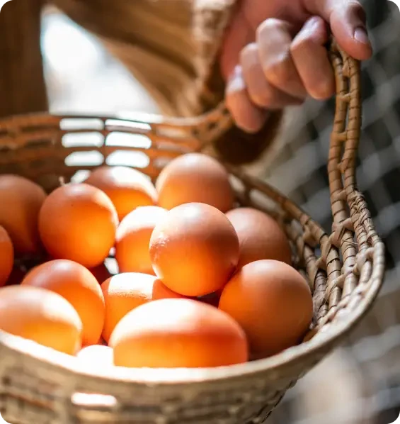 A person carrying a wicker basket filled with eggs