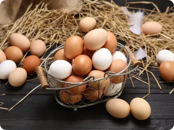 Brown and white eggs in a wire basket on straw