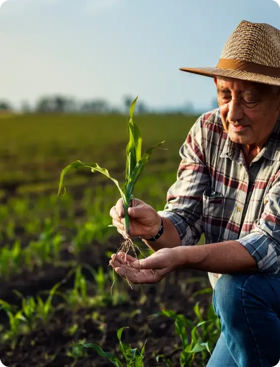 farmer holding a plant
