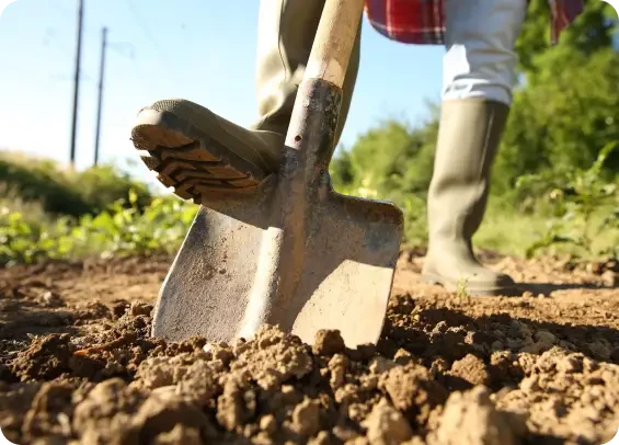 Boot pressing a spade into garden soil