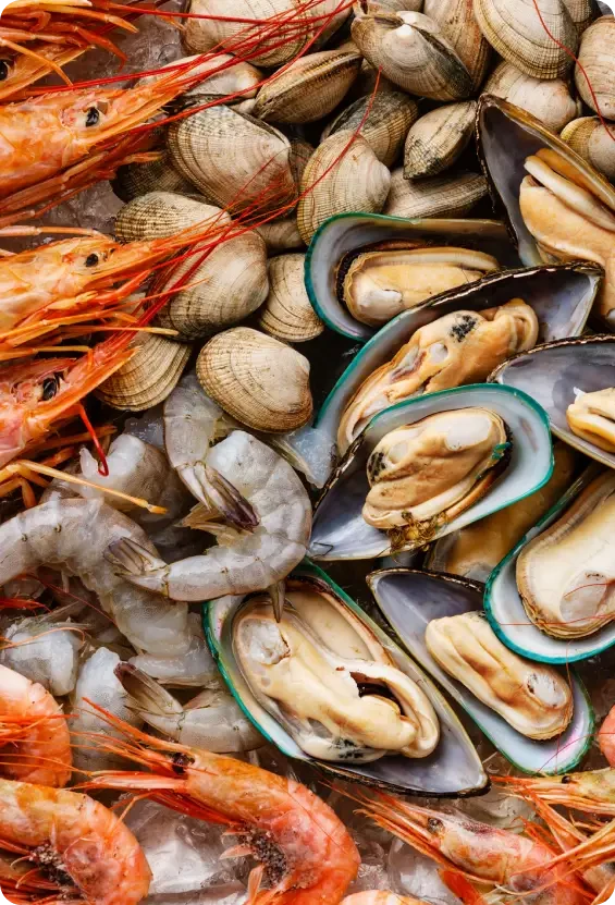 An assortment of prawns, mussels, clams and other shellfish