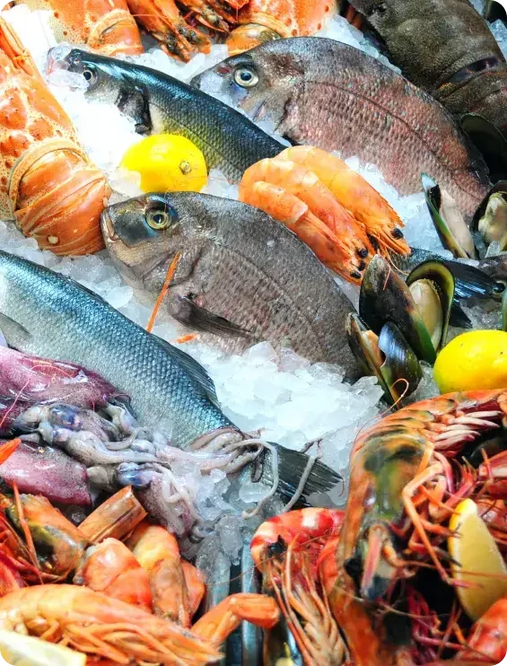 Whole fish and seafood displayed on ice with lemon