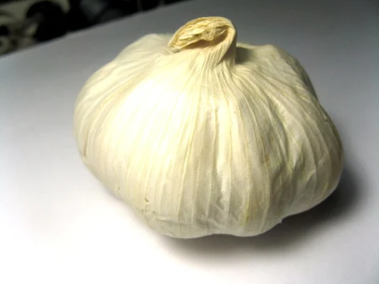 Whole garlic bulb with pale papery skin
